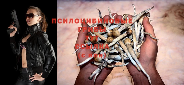 каннабис Арсеньев