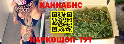Альфа ПВП Дубна