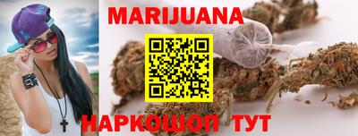 Альфа ПВП Дубна