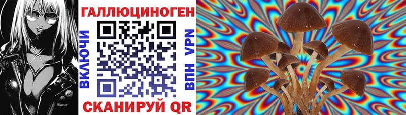 ссылка на мегу ONION  дарнет шоп  Пушкино  Галлюциногенные грибы Magic Shrooms 