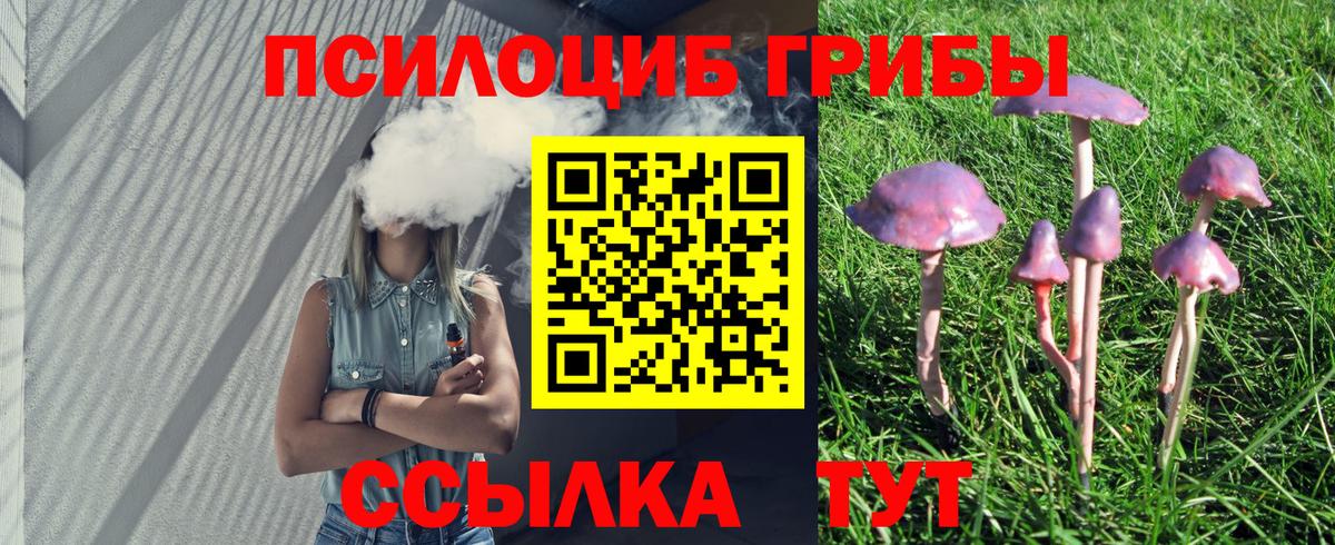 Псилоцибиновые грибы Psilocybe Пушкино