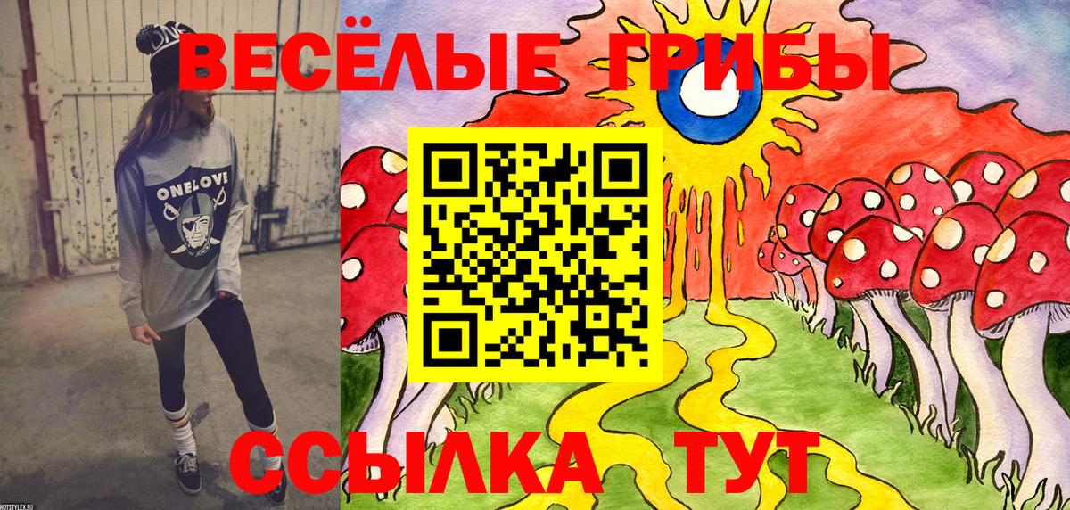 Псилоцибиновые грибы MAGIC MUSHROOMS  Вход с VPN  Пушкино  Галлюциногенные грибы GOLDEN TEACHER 